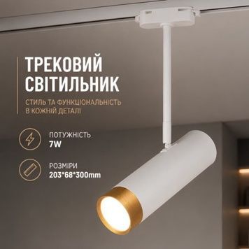 Точечный светильник SIRIUS RN228 WT+GD