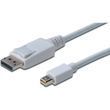 DisplayPort