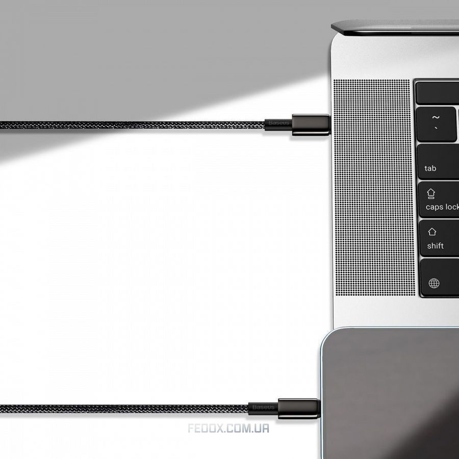 Baseus Tungsten Gold Fast Charging Type-C to Type-C 100W (1m) black